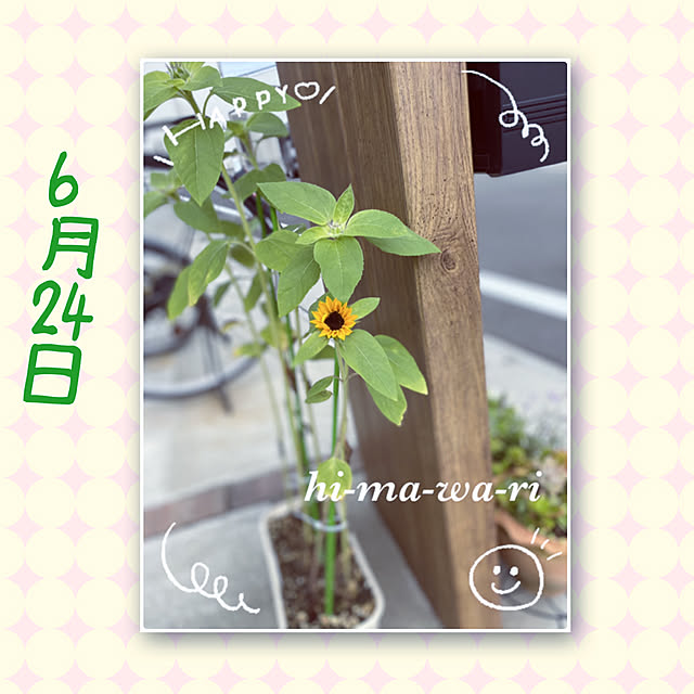 Love.Lapinさんの実例写真