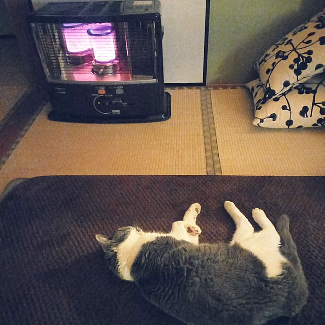 rhuさんの実例写真