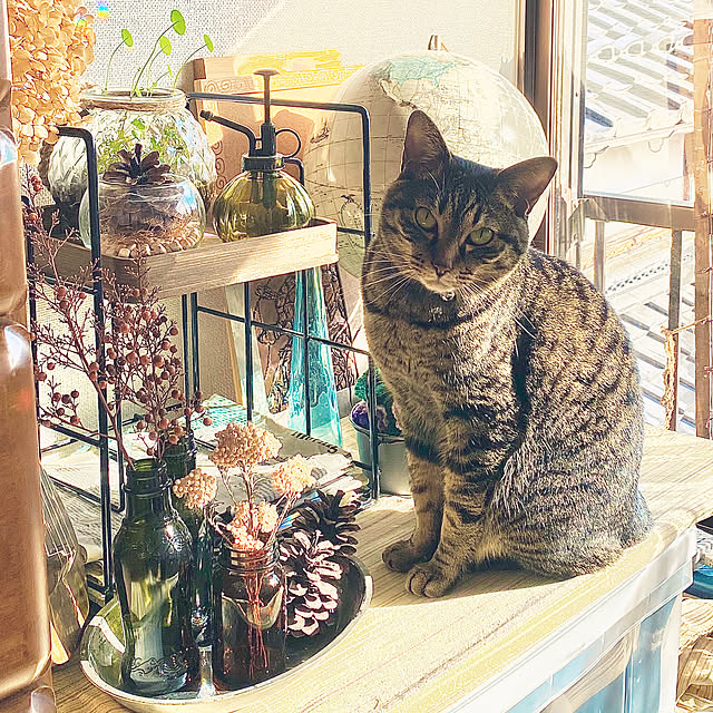 maruさんの実例写真