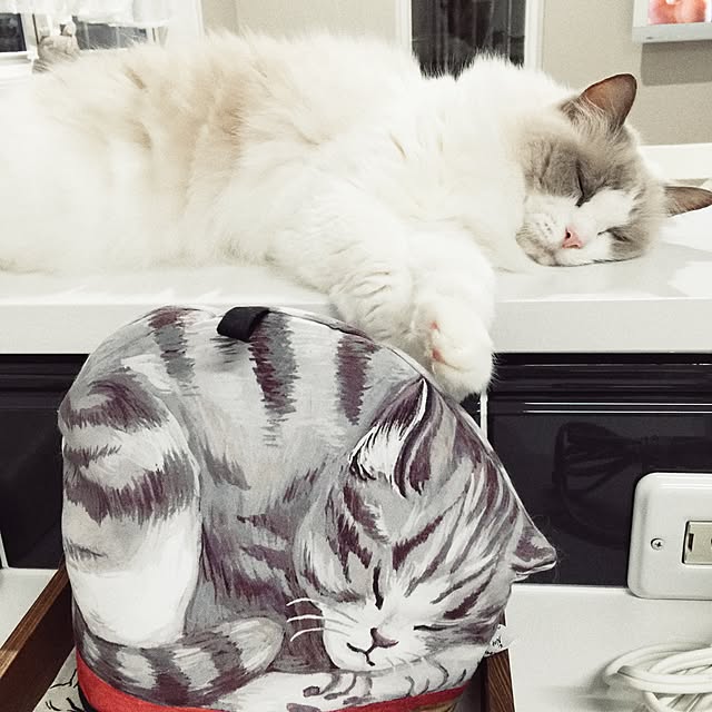 yuchiさんの実例写真