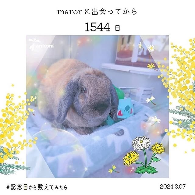 mariaさんの実例写真