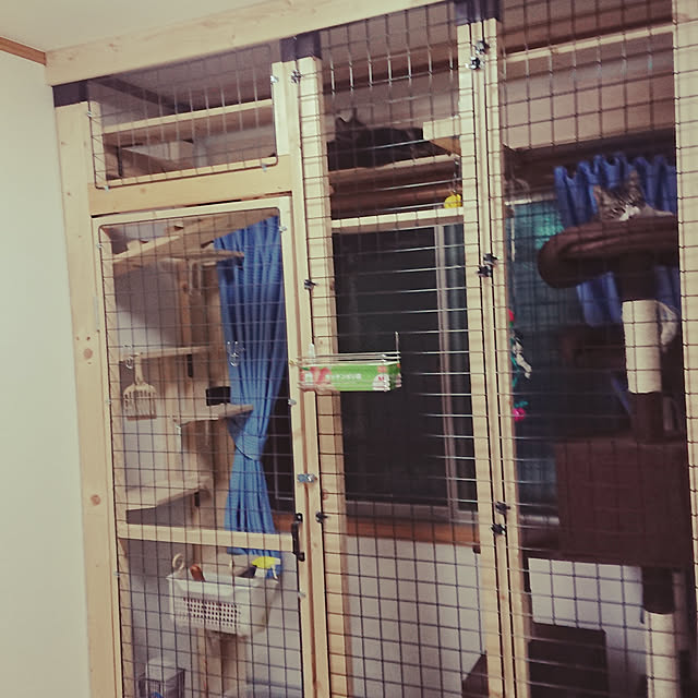 ta119ri106さんの実例写真