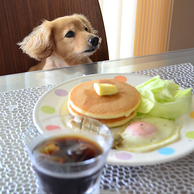Torteさんの実例写真