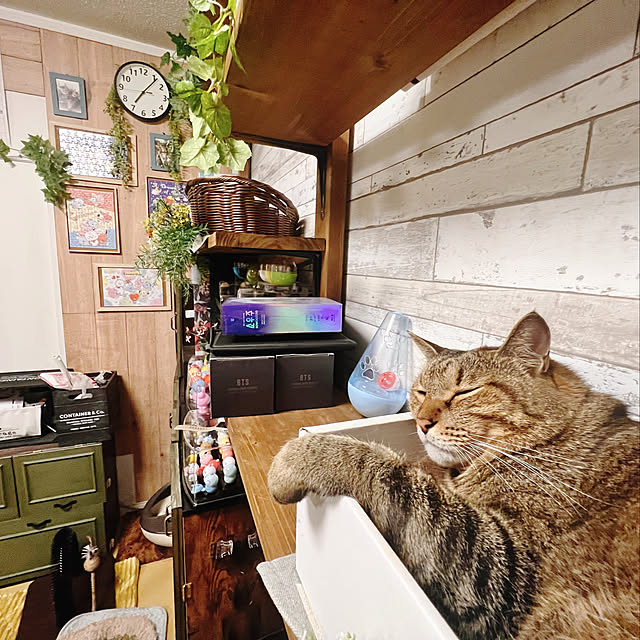 sumoanzuさんの実例写真