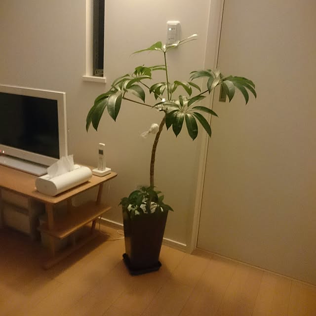 yuinacchiさんの実例写真