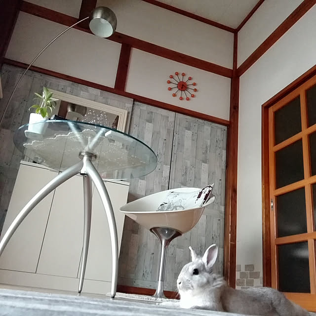 usako.usaさんの実例写真