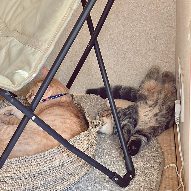 chiiさんの部屋