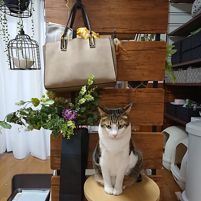 nachiさんの実例写真