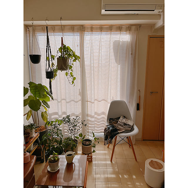 mikiteacupさんの実例写真