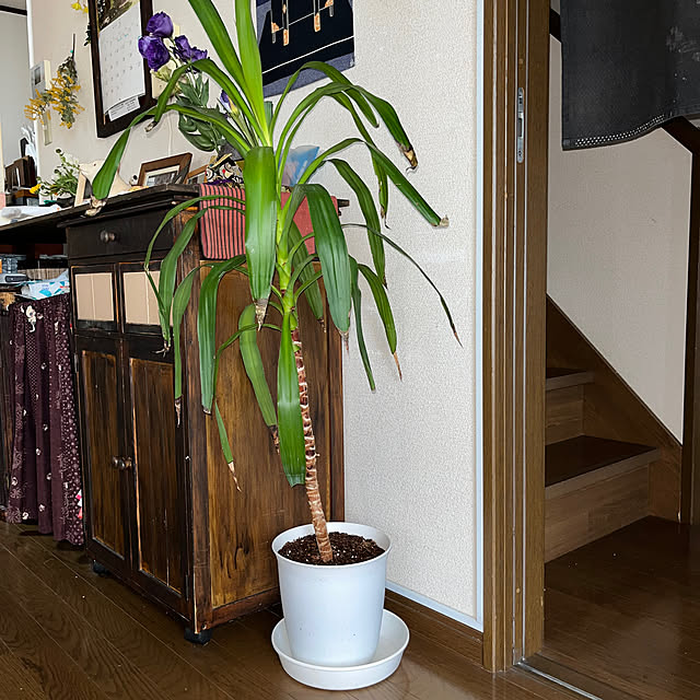 ritsukoさんの部屋