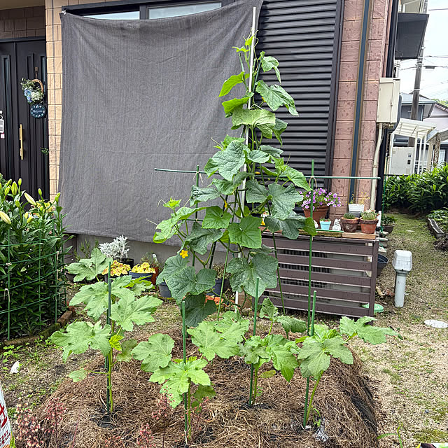 ritsukoさんの実例写真