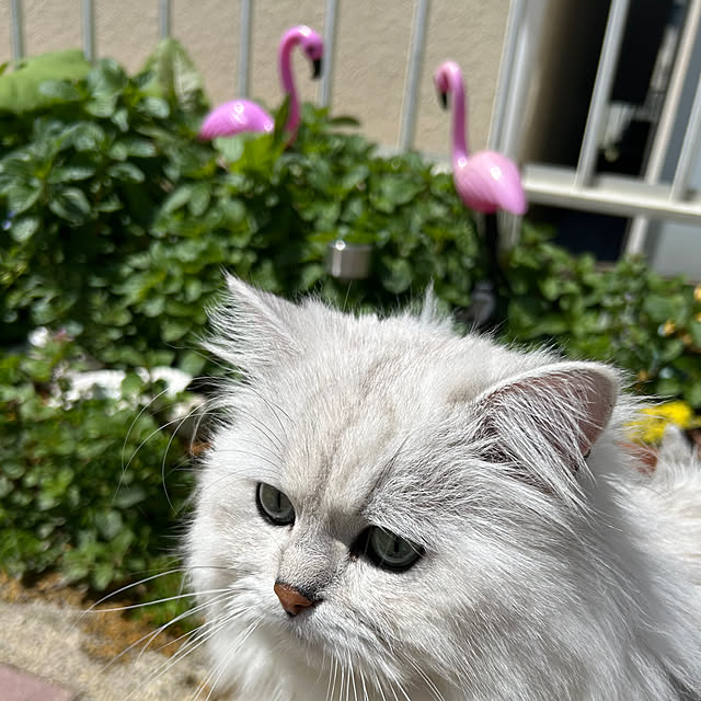 ikunyanさんの部屋
