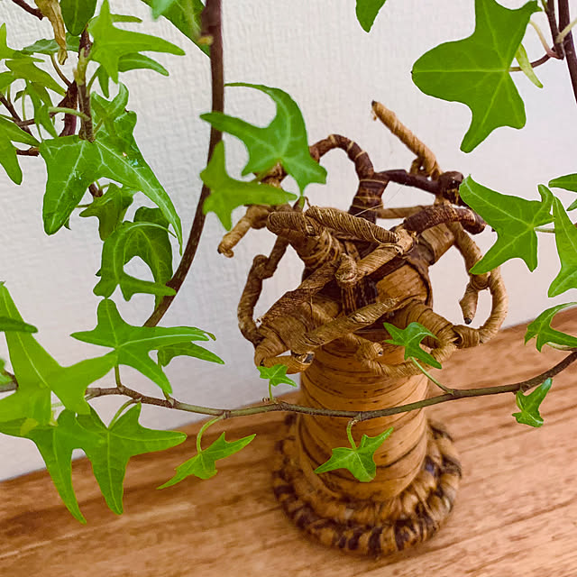 HAKOさんの部屋
