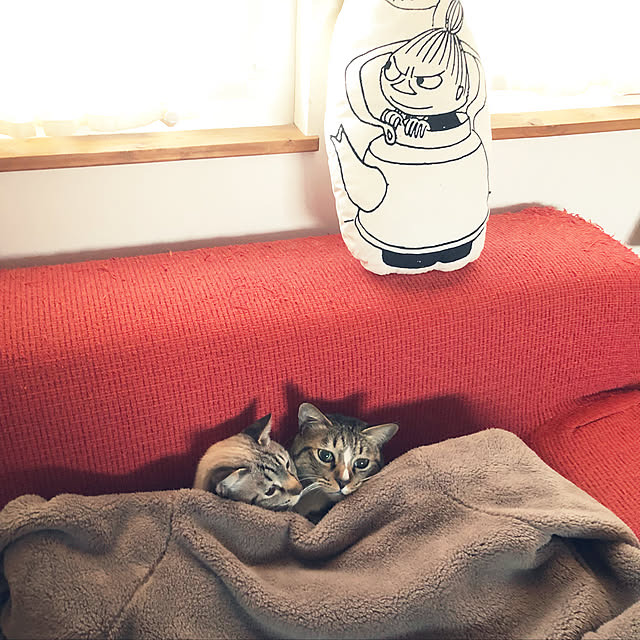 tsukiyuzuさんの実例写真