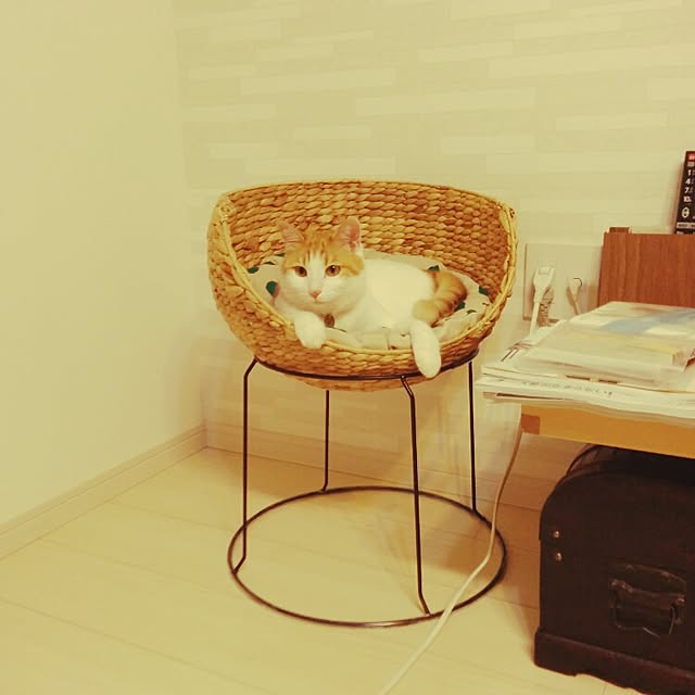 3110さんの実例写真