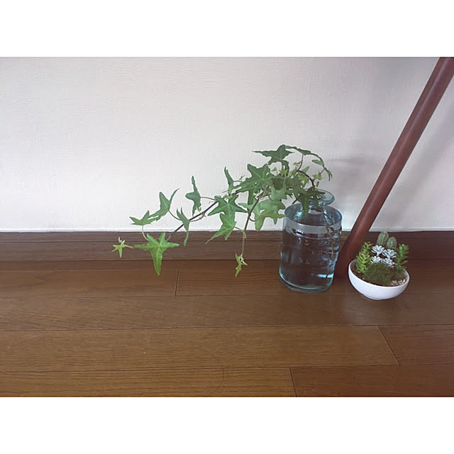naokoさんの実例写真