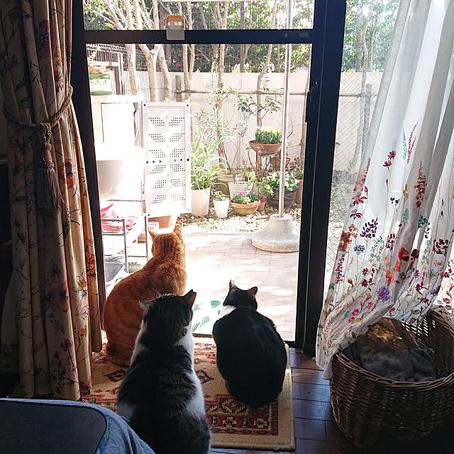 okyosan101さんの実例写真