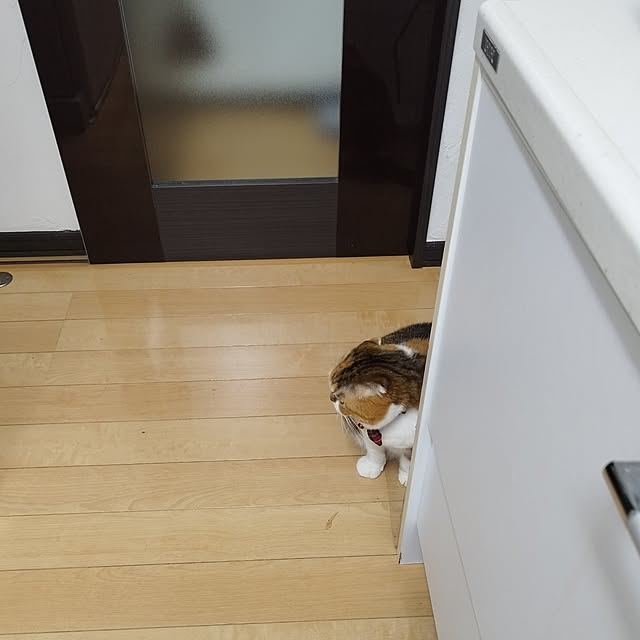hiro3さんの部屋