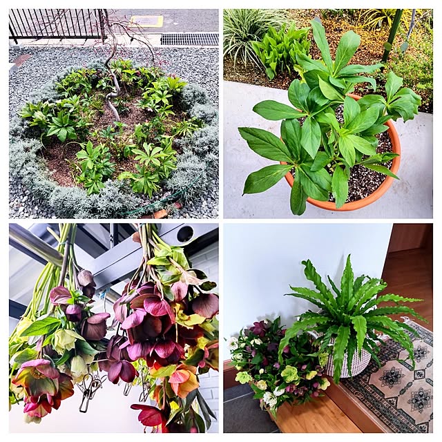 NSDさんの実例写真