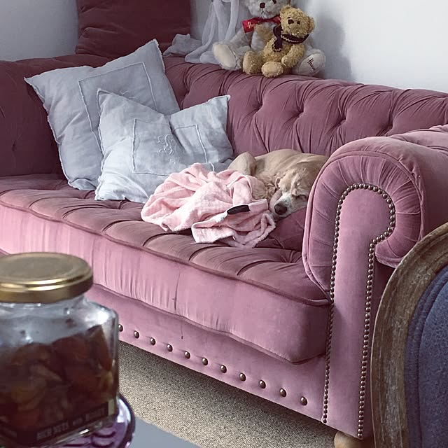 Tippiさんの実例写真