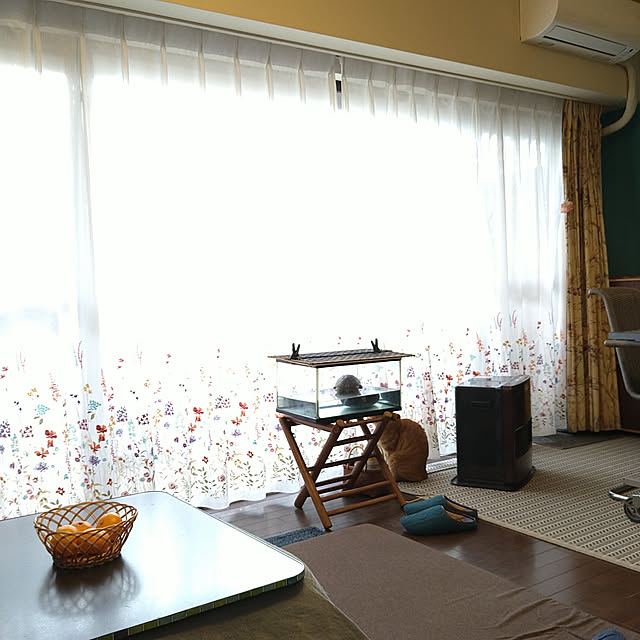 okyosan101さんの実例写真
