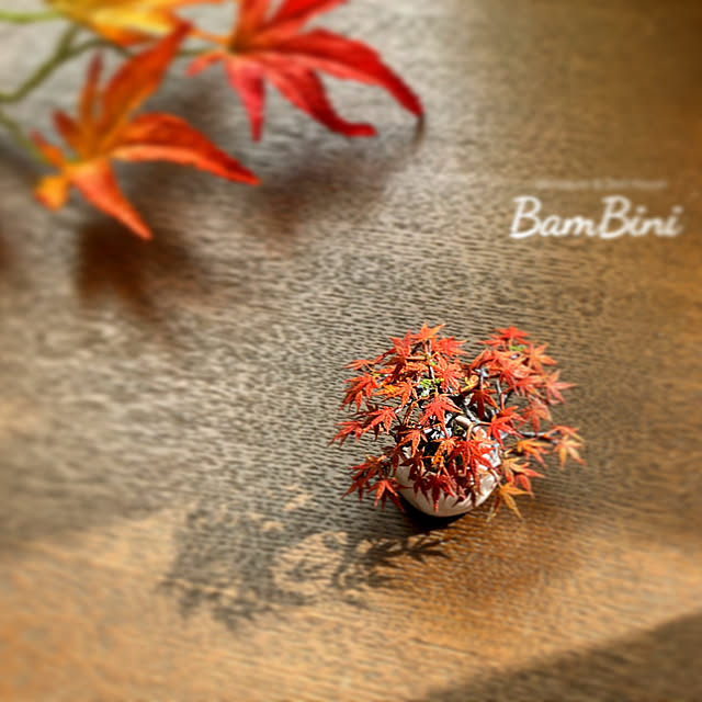 bambini555さんの実例写真