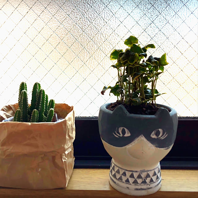 chiikaさんの実例写真