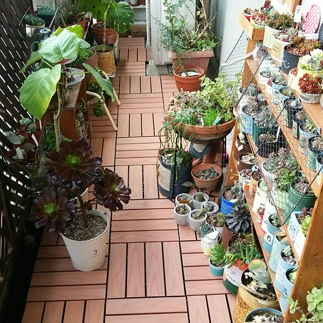 sakusakuさんの実例写真