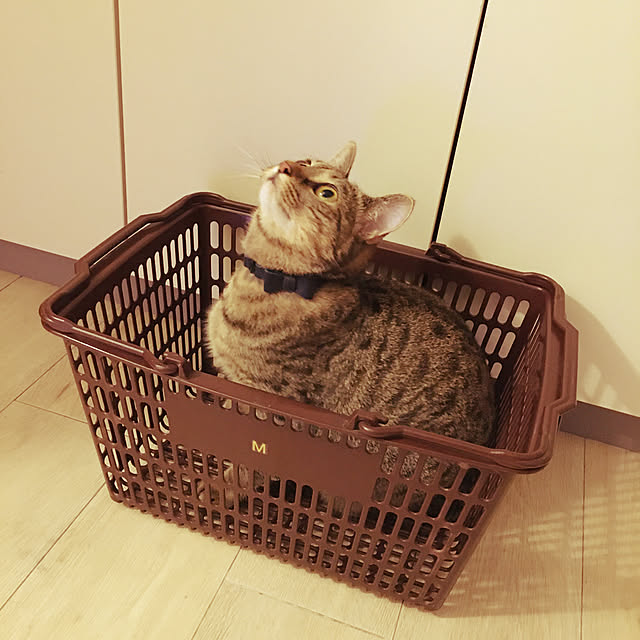Mさんの実例写真