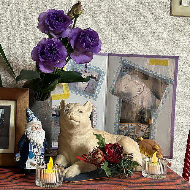 ritsukoさんの実例写真