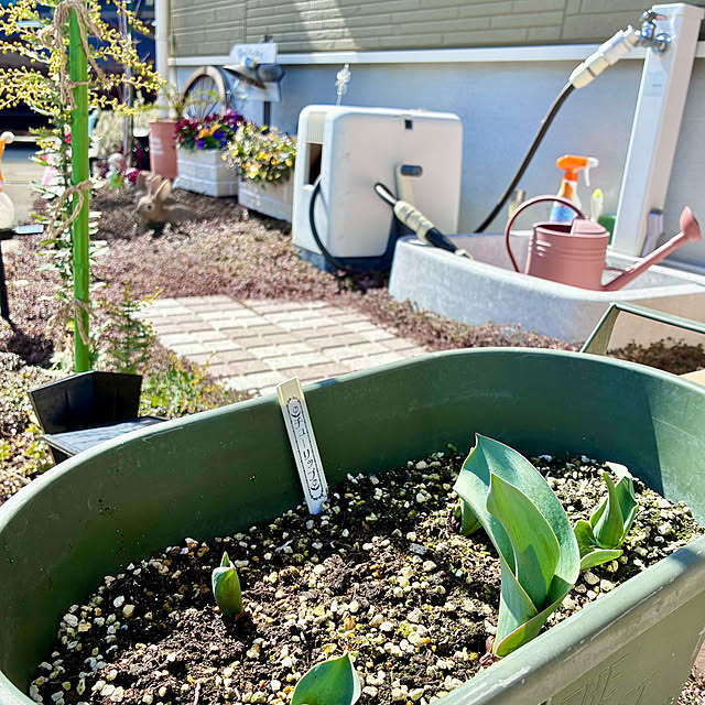 Junさんの実例写真