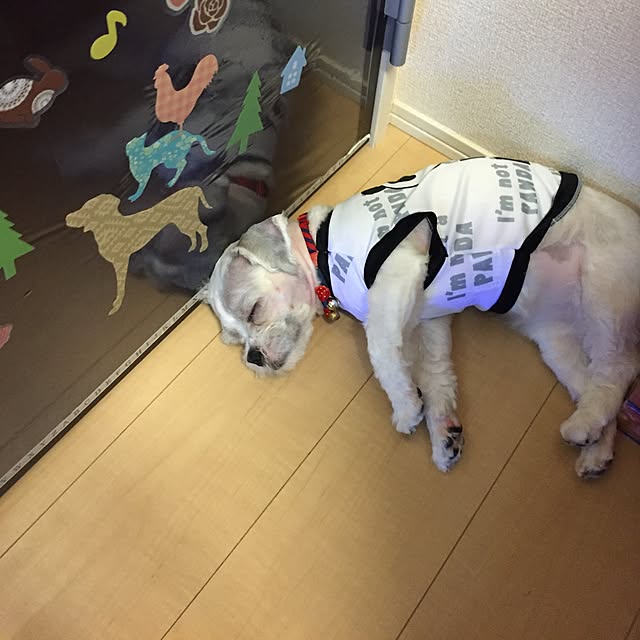 emiさんの実例写真