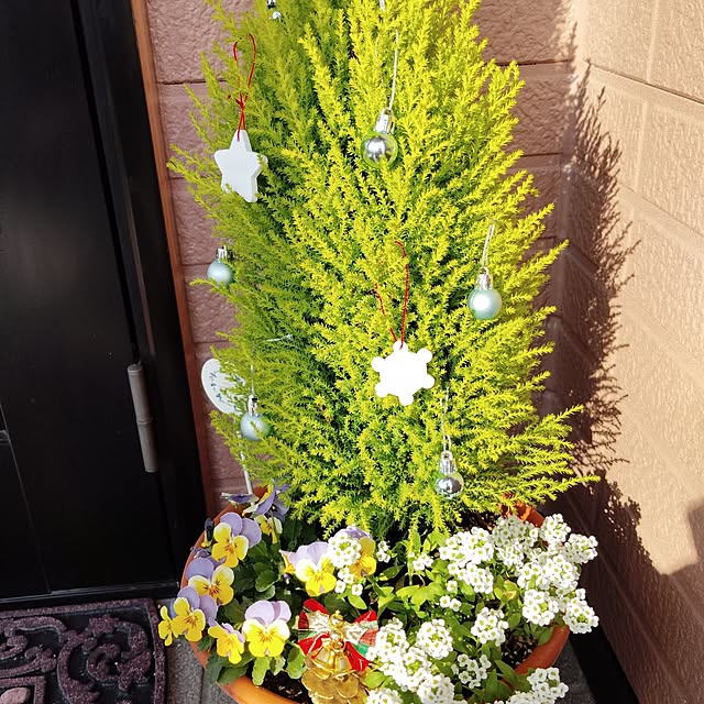 misakiさんの実例写真