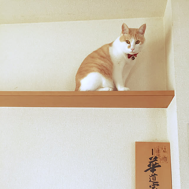naworinさんの実例写真