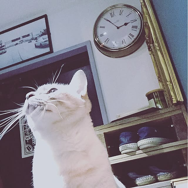 Naoki.さんの実例写真
