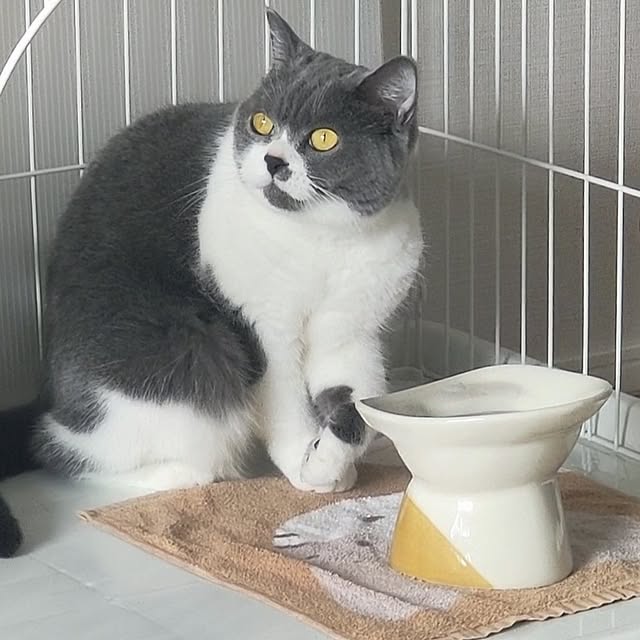 KEIKOさんの部屋