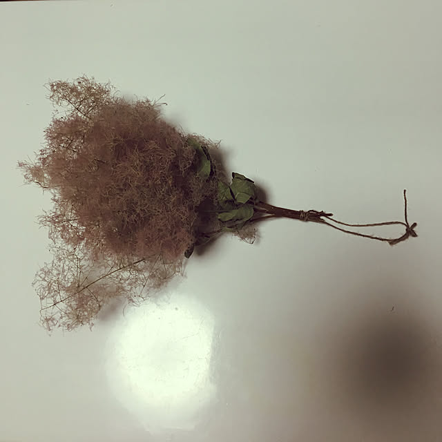 sanw2225719さんの実例写真