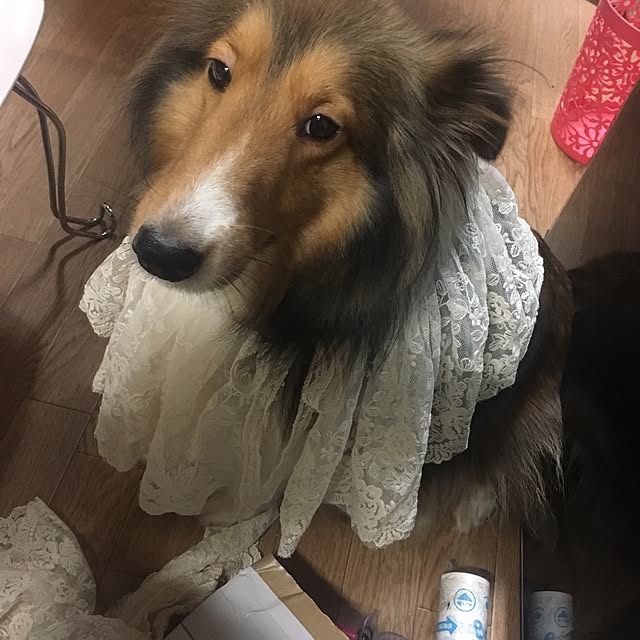 miiさんの実例写真