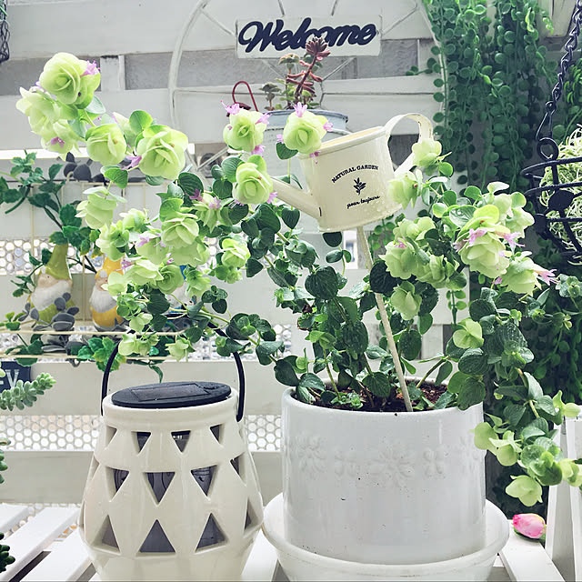 yukimaruさんの実例写真