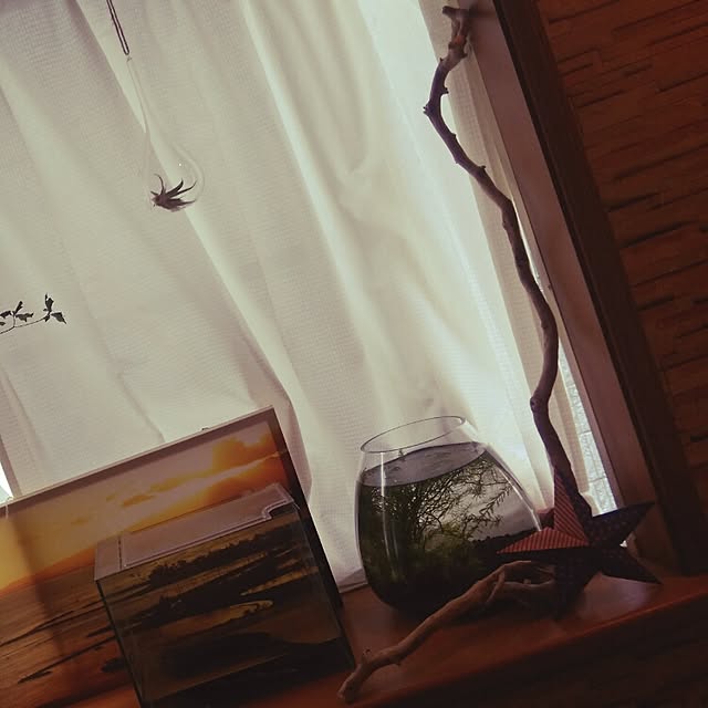 Taekoさんの実例写真