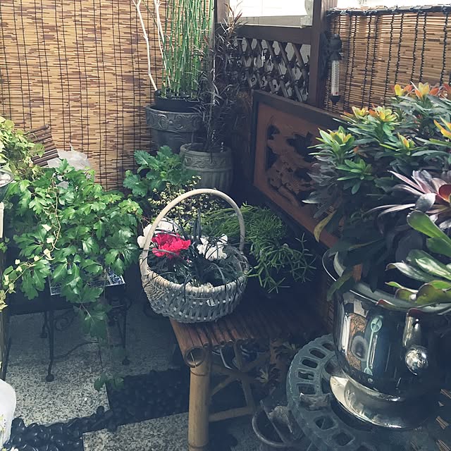 emmyyさんの実例写真