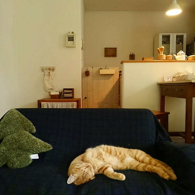 mayutan.さんの実例写真