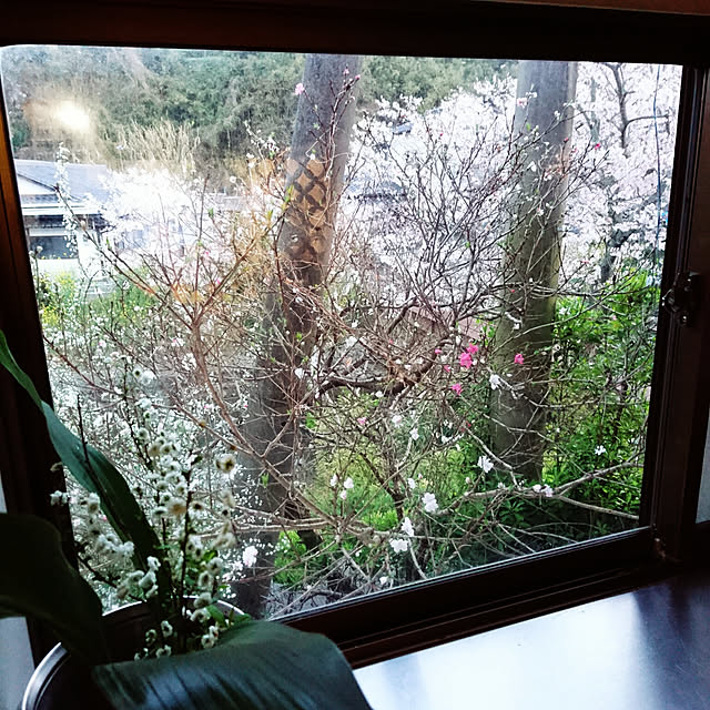 uchizukonyanさんの実例写真