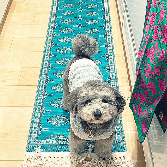reonmamaさんの実例写真