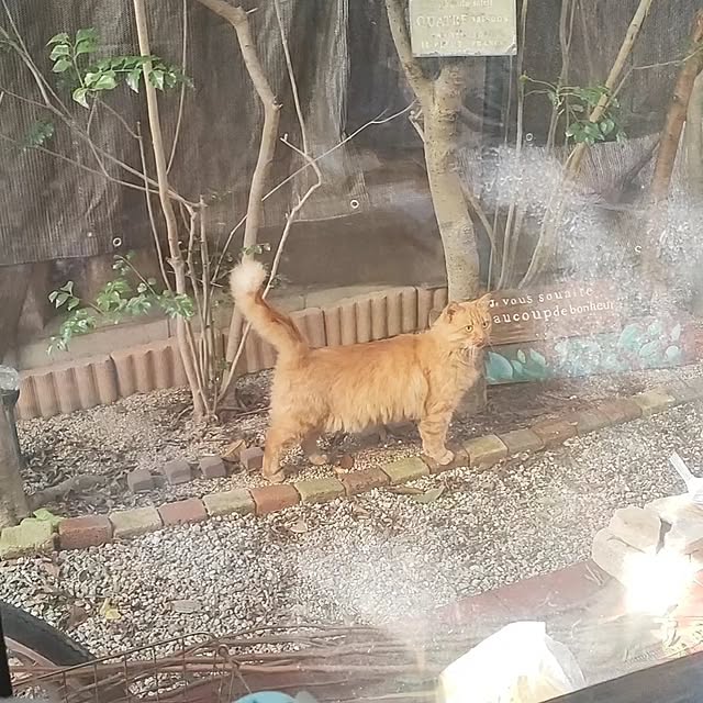 mori_6_12さんの実例写真