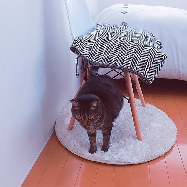 nyan.73さんの実例写真