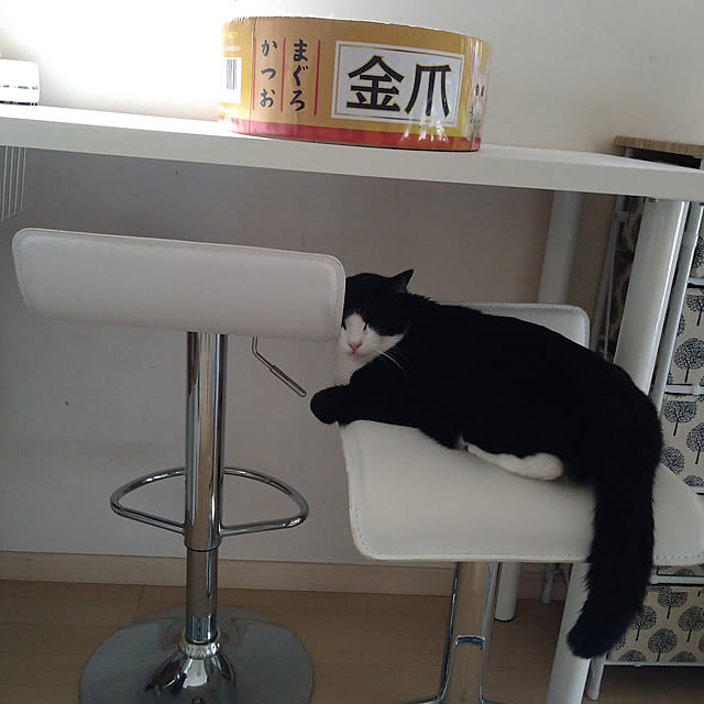koromaroさんの実例写真