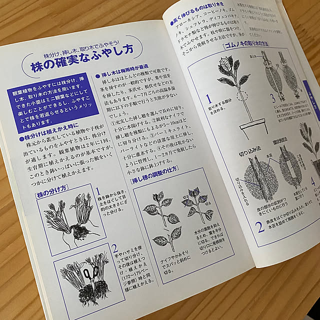 tanboさんの部屋