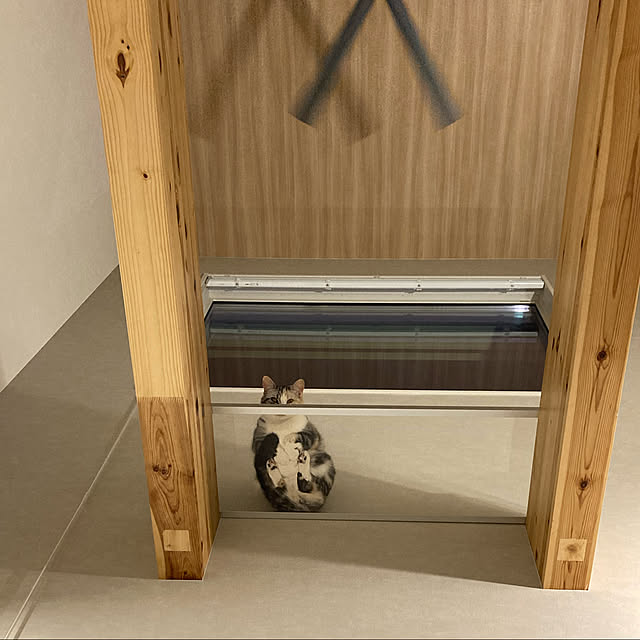 mikkumikuさんの実例写真