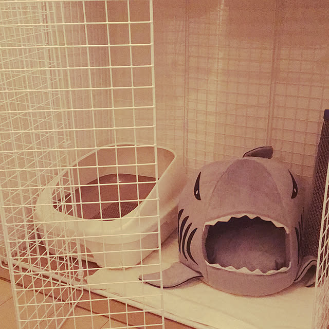 Toshikunさんの実例写真